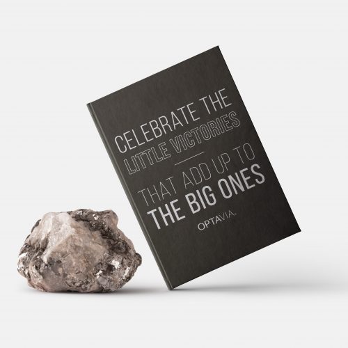 Celebrate The Little Victories Journal